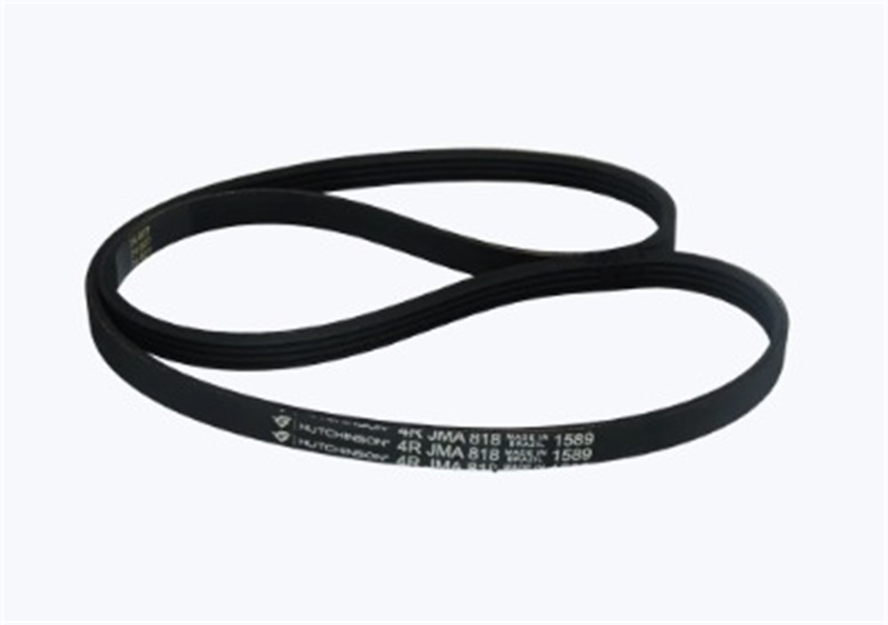 Correia LR Mueller Family/ Agile Hiper POP 10KG - 4 JMA 818 - 100028260