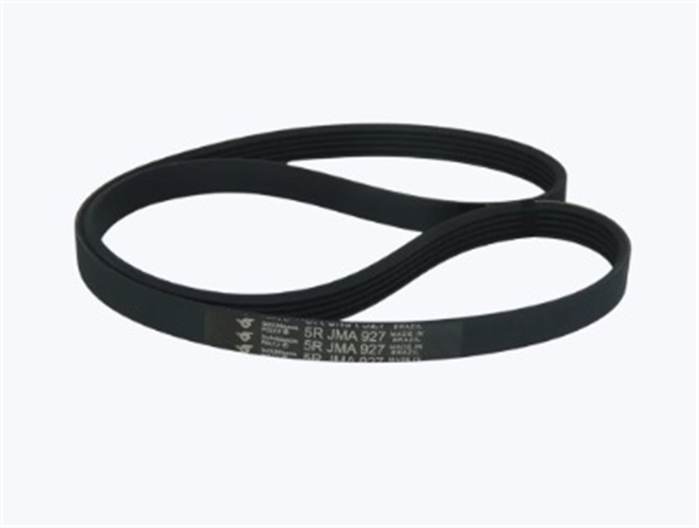 Correia LR Suggar Aleluia/Genesis Poly V  911 - 3 JMA 911 - 2203005