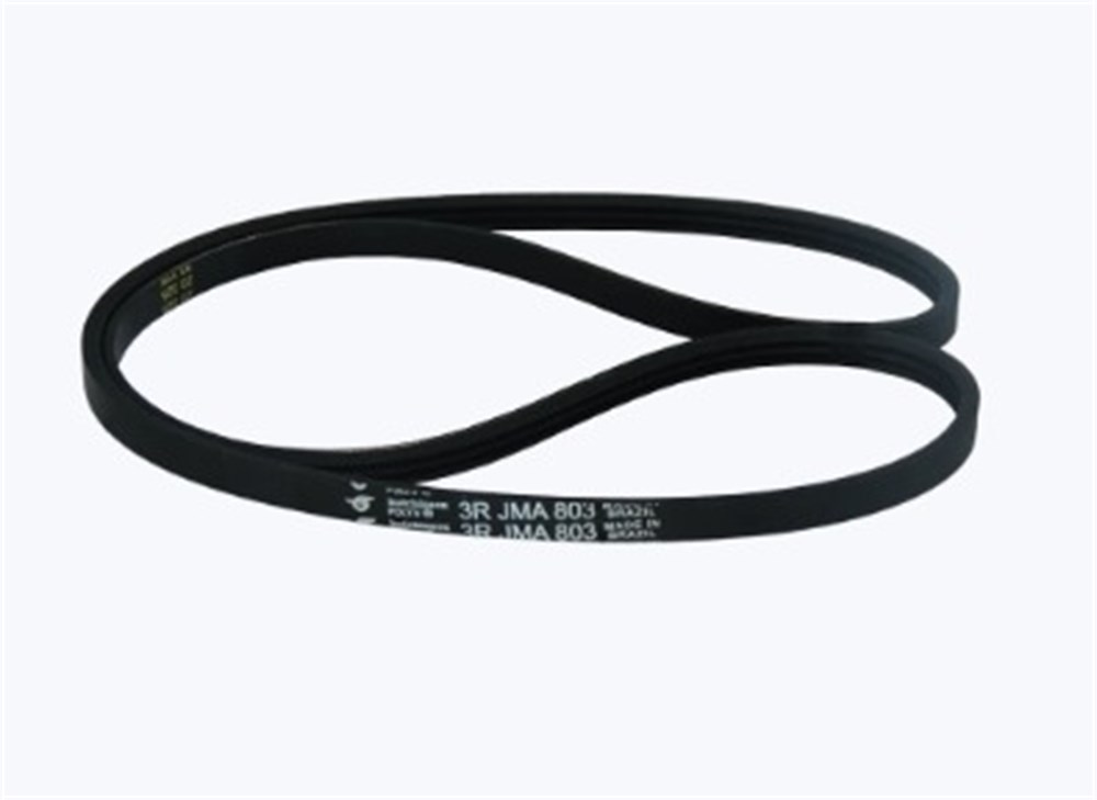 Correia LR Wanke Barbara 10KG -  Fabr até 2017 - 4 JMA 841  - 39310035 - A